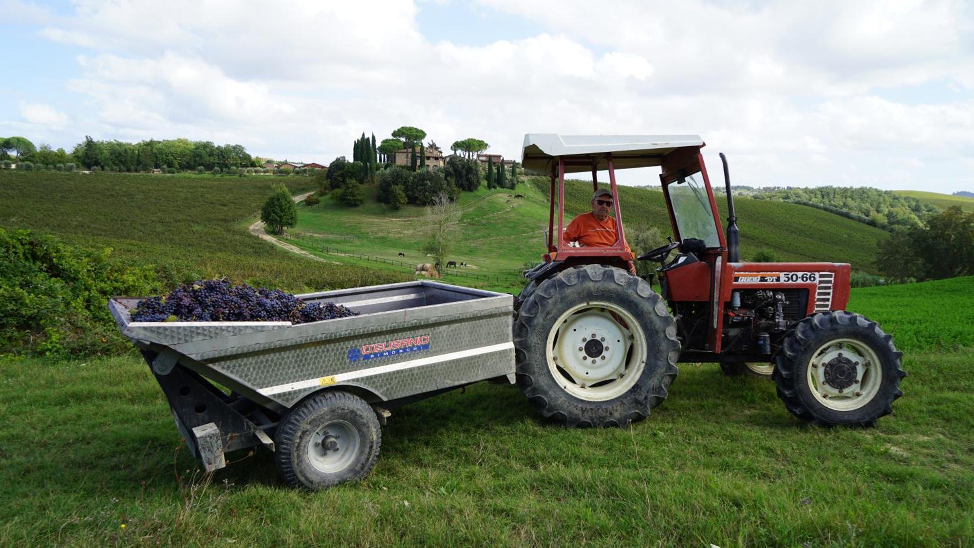 Vakantieboerderij Mormoraia San Gimignano