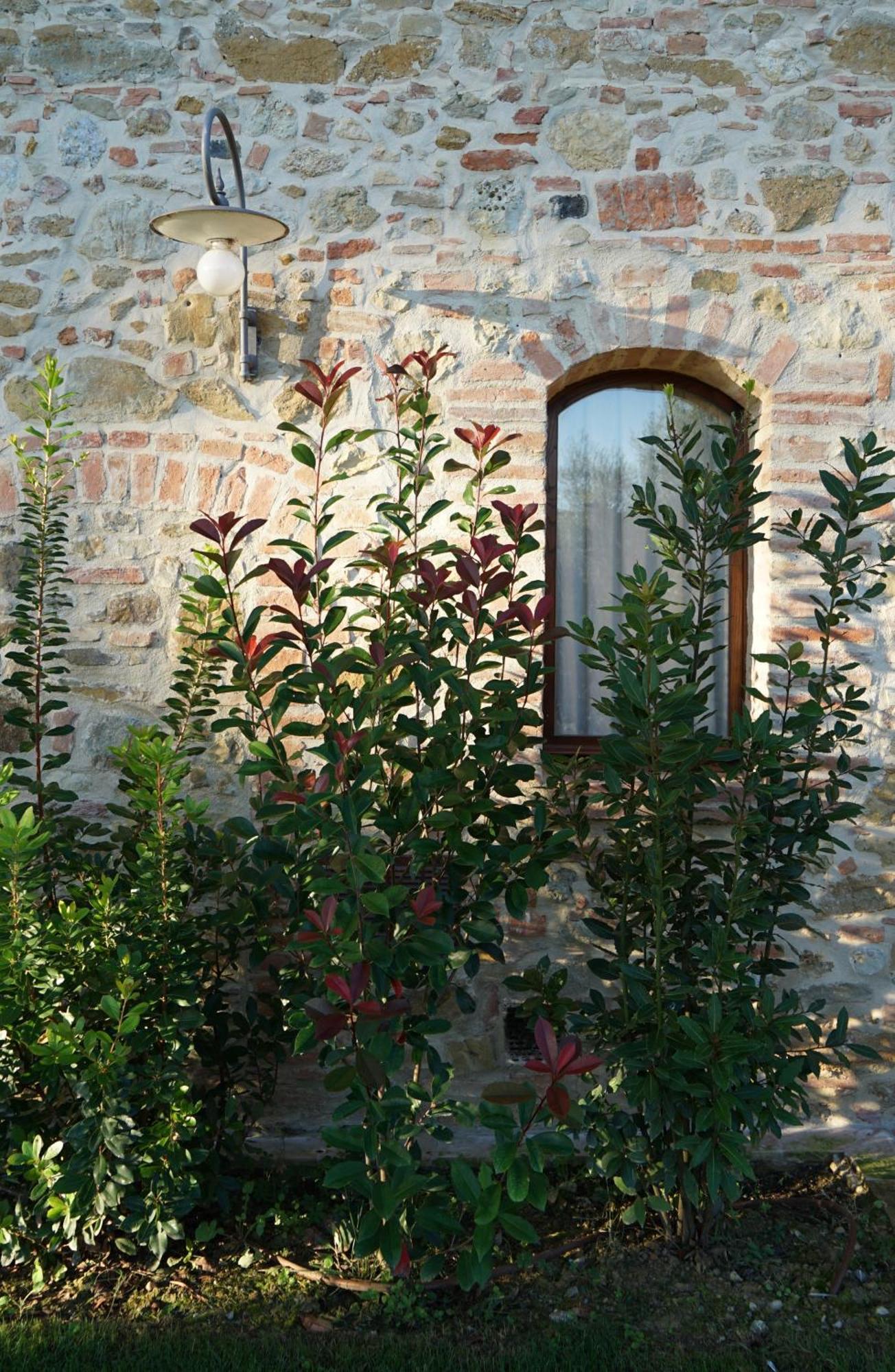 Mormoraia Vakantieboerderij San Gimignano