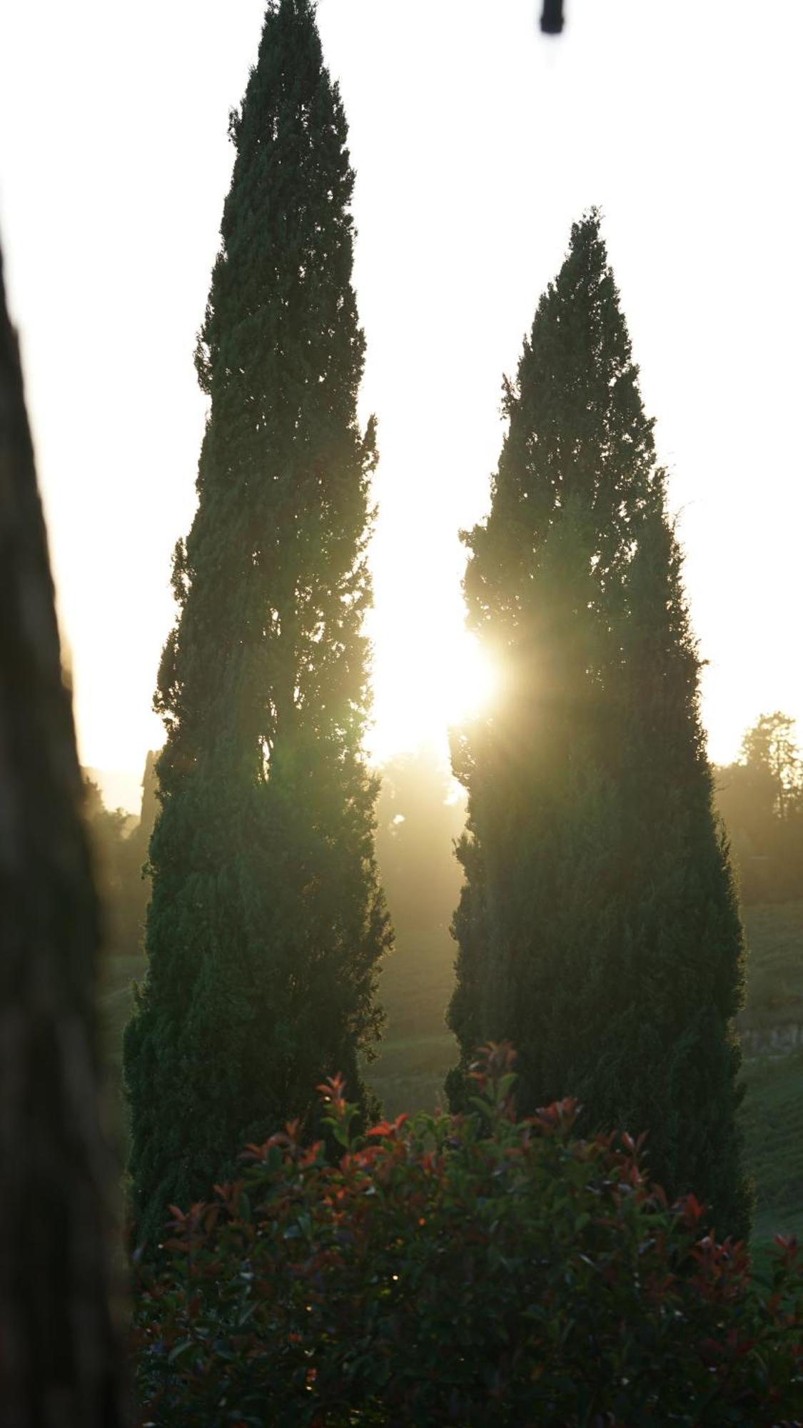 Mormoraia San Gimignano